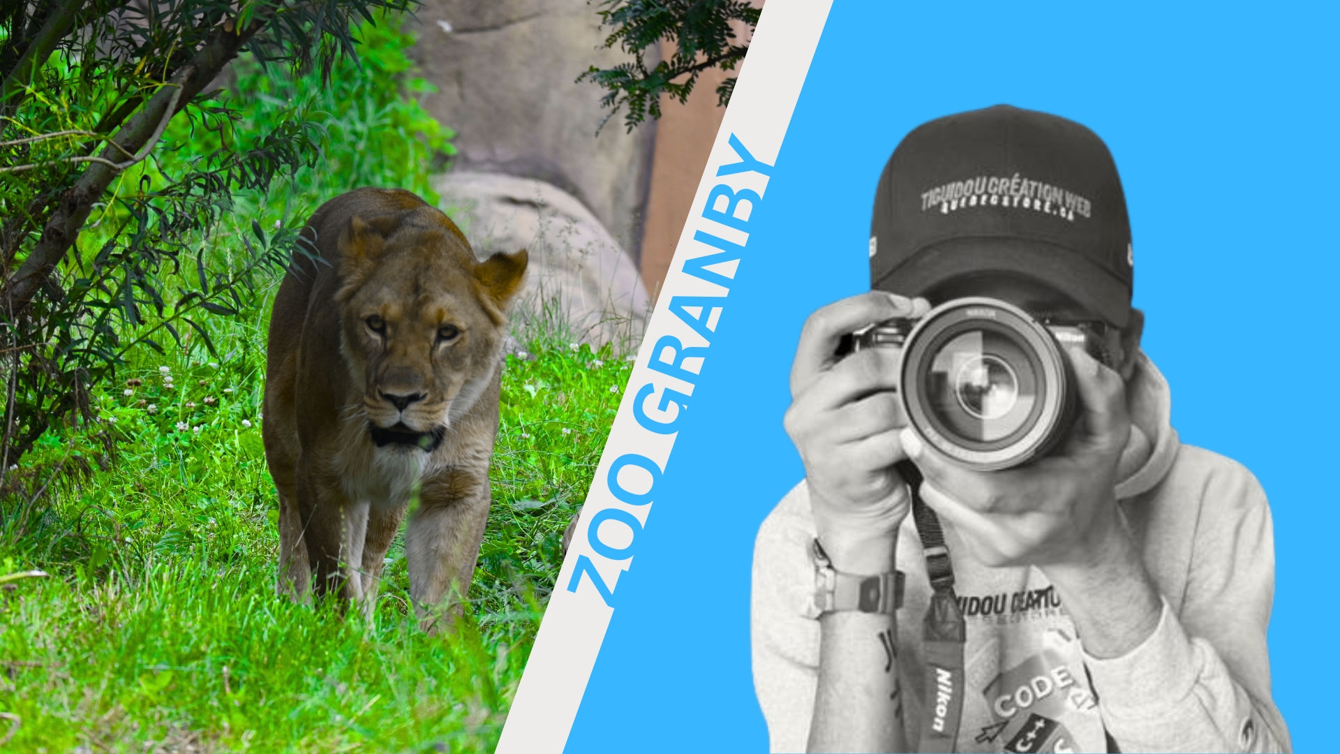 Gasore René photographe au Zoo de Granby — fondateur agence web Tiguidou à Sherbrooke